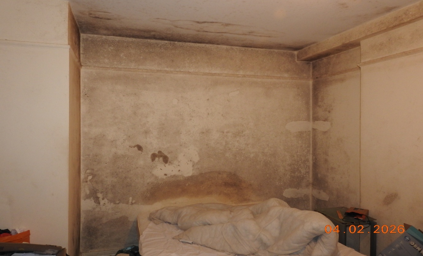Damp and mould growth.