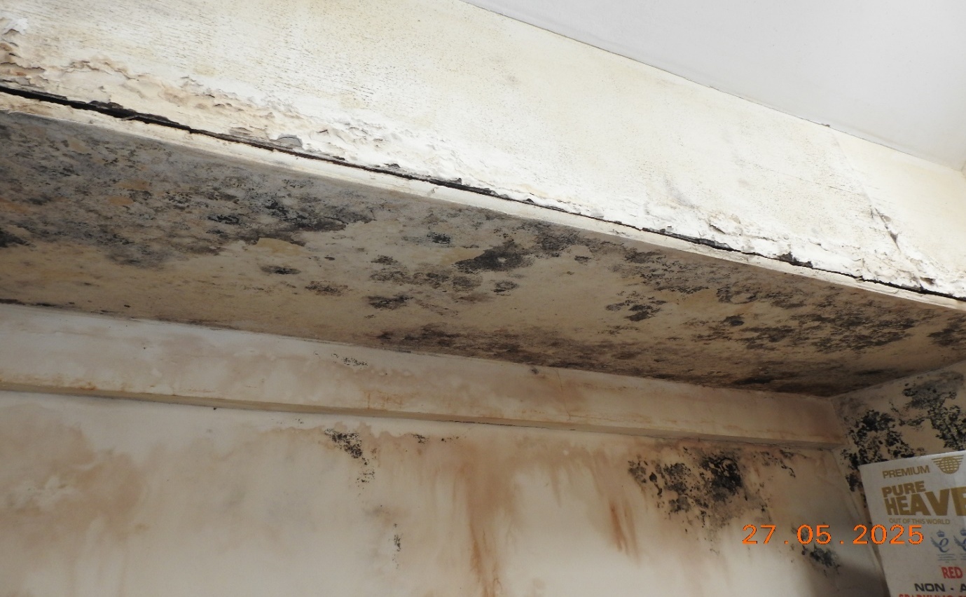 Private Landlord, water ingress mould and damp.