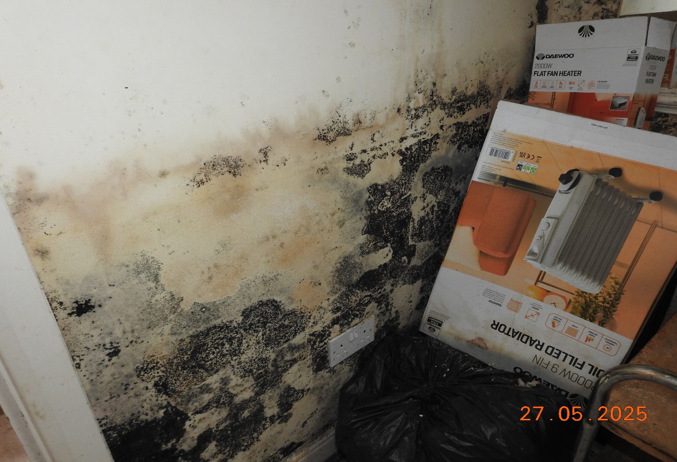 Private Landlord wet wall plaster and mould growth