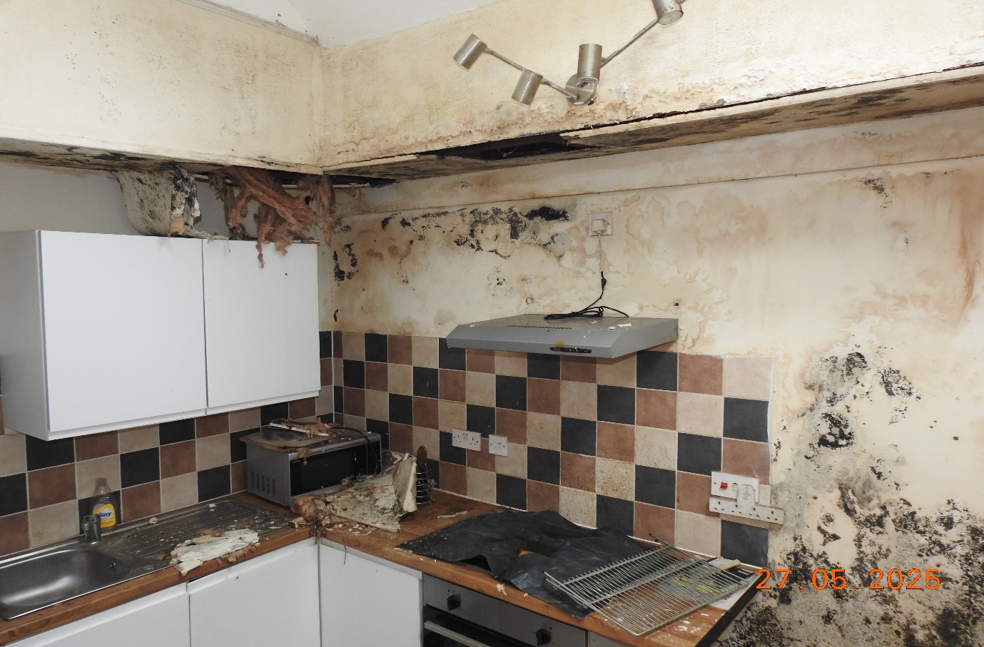 Private Landlords penetrating dampness wet plaster and mould growth.