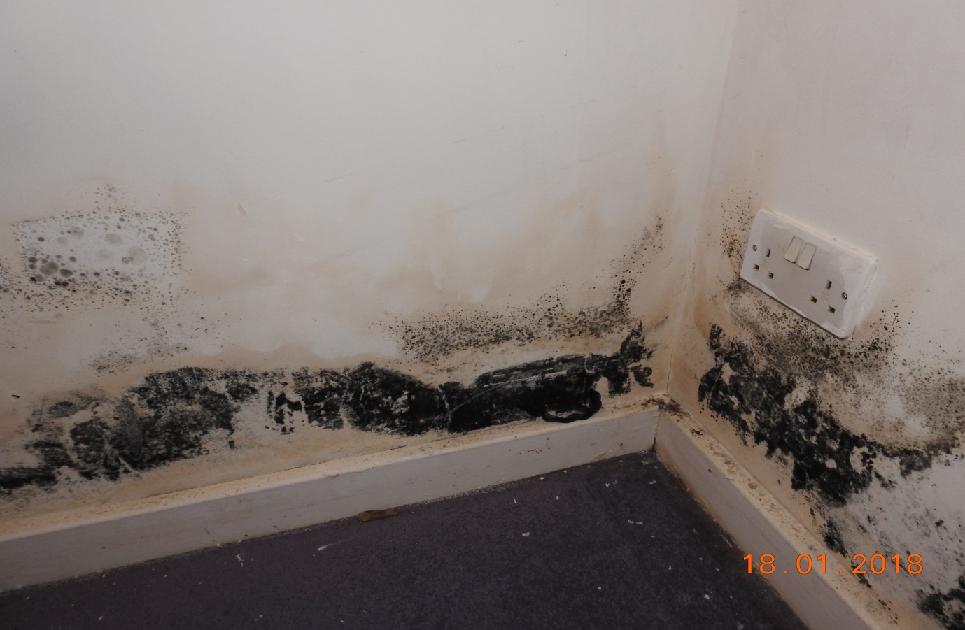 Significant mould growth to the wall plaster