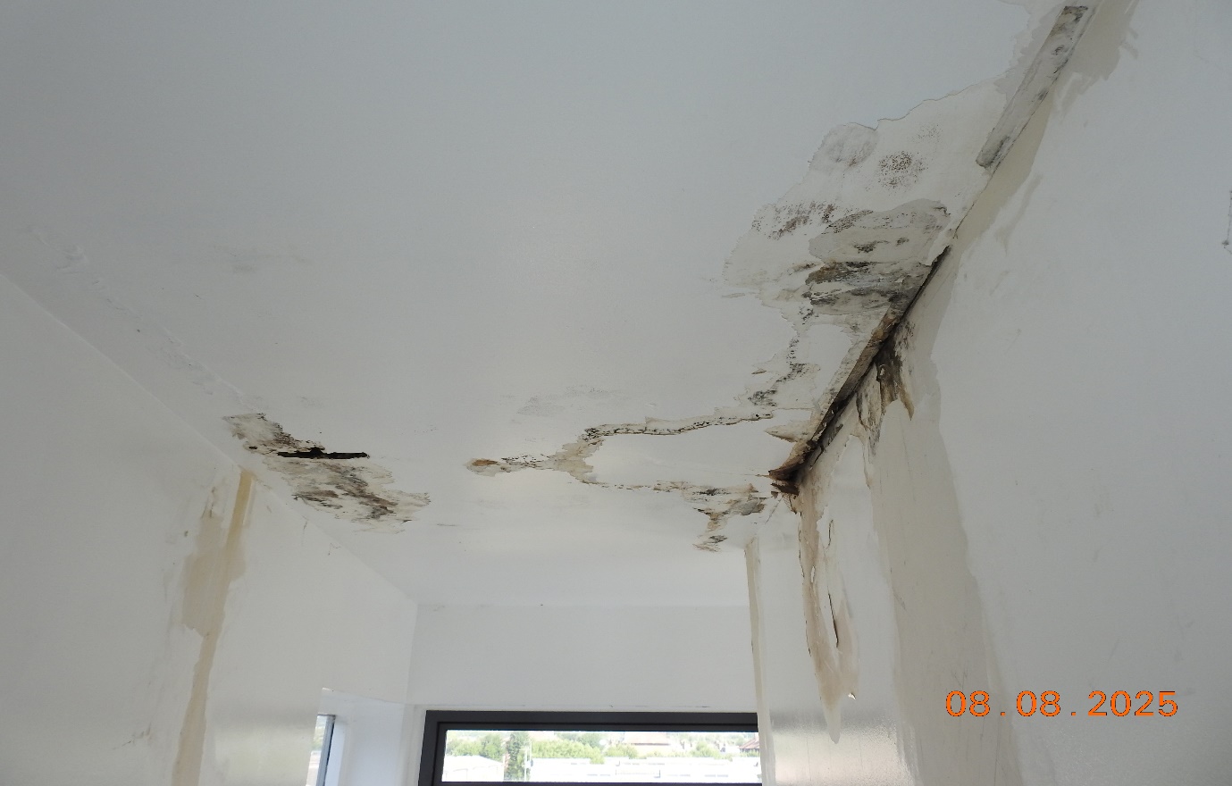 Water damaged ceiling and wall plaster with mould growth present.