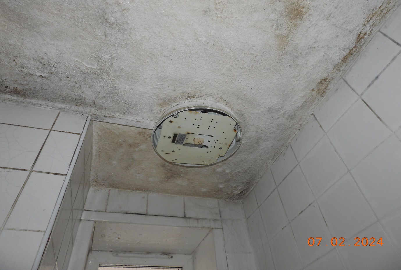 Water dripping from the ceiling, non operational light fitting.