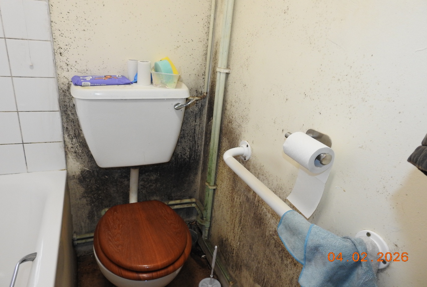 Damp and mould growth