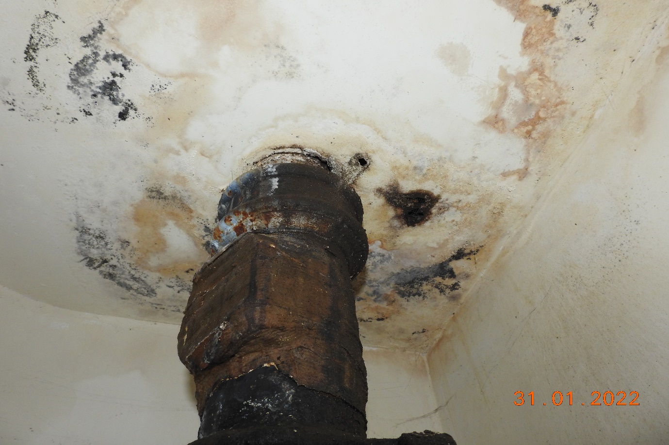 Local Authority, penetrating dampness poorly repaired soil stack.